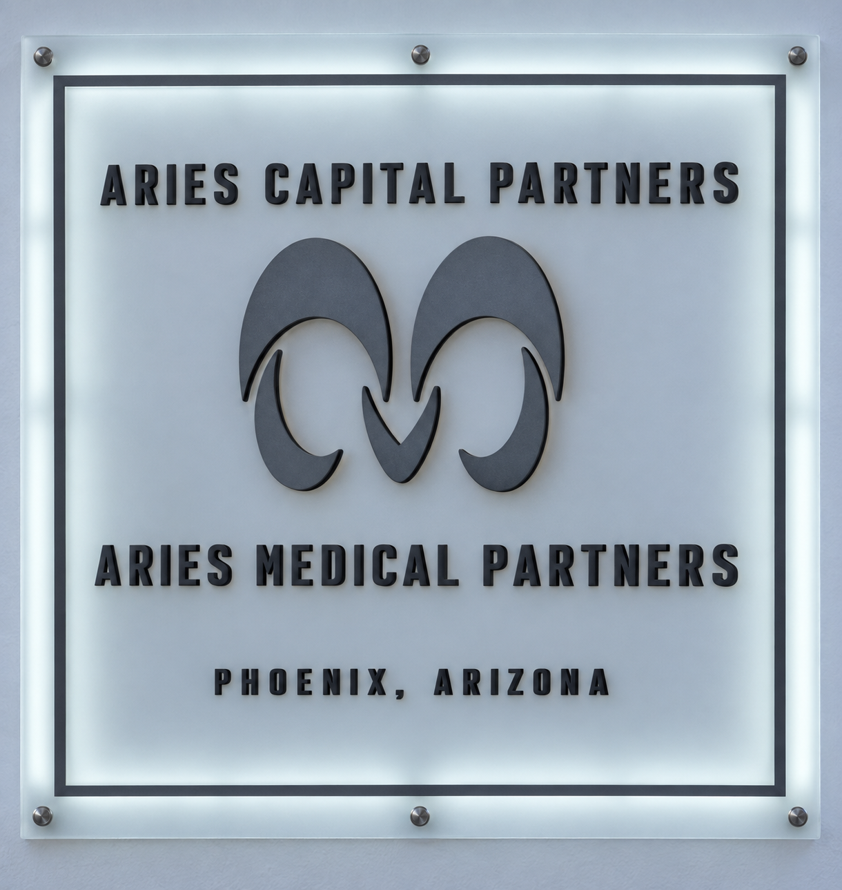 Dana Amato, President of Aries Medical Partners